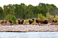 Grand Teton National Park