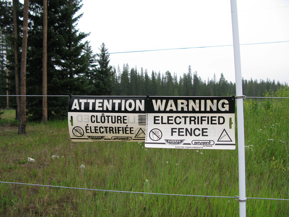 Lake Louise Campground Electric Grizzly Bear Fence