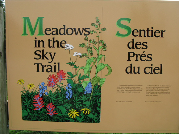 Renowned Subalpine wildflower meadows of Mount Revelstoke National Park, Canada