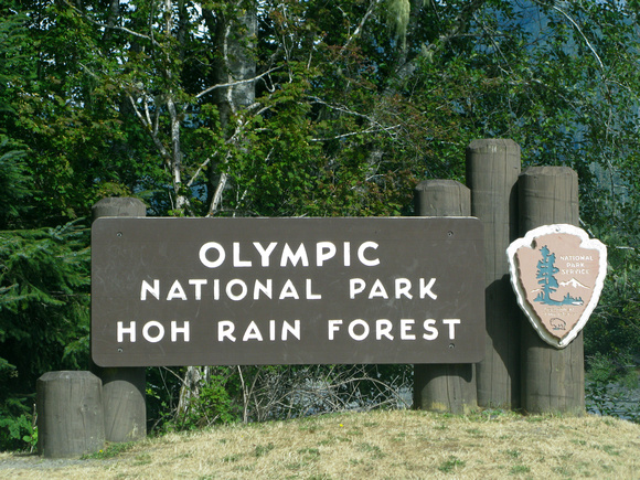 Hoh Rain Forest, Olympic NP, WA